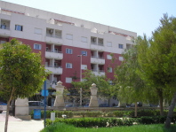 Rental Property in Torrevieja